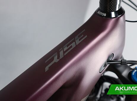 Orbea RISE H15 2022 - Metallic Mulberry-Black